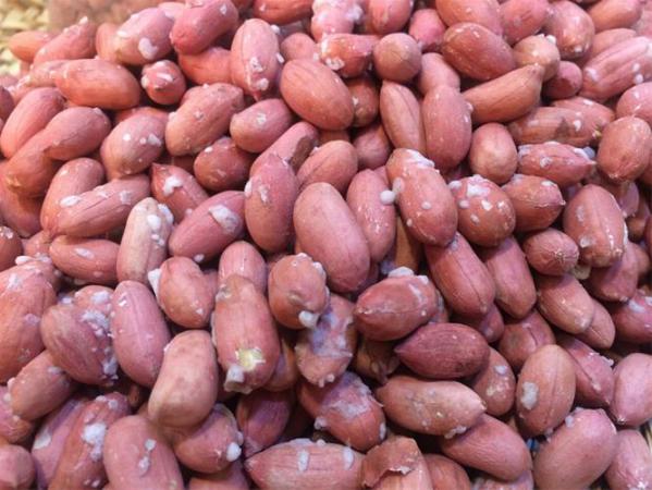 فروش بادام زمینی | تهیه فله ای بادام زمینی
