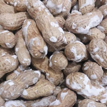 خرید ارزان ترین بادام زمینی چینی در کشور