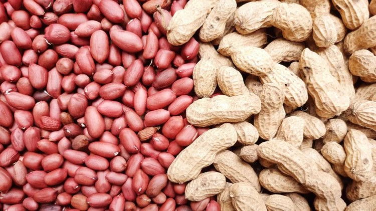 چرا پاک سازی بادام زمینی پیش از بسته بندی اهمیت دارد؟